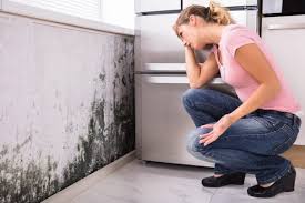 Best Residential Mold Inspection & Testing  in Bay Point, CA